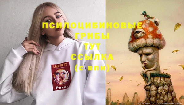 jwh Алзамай